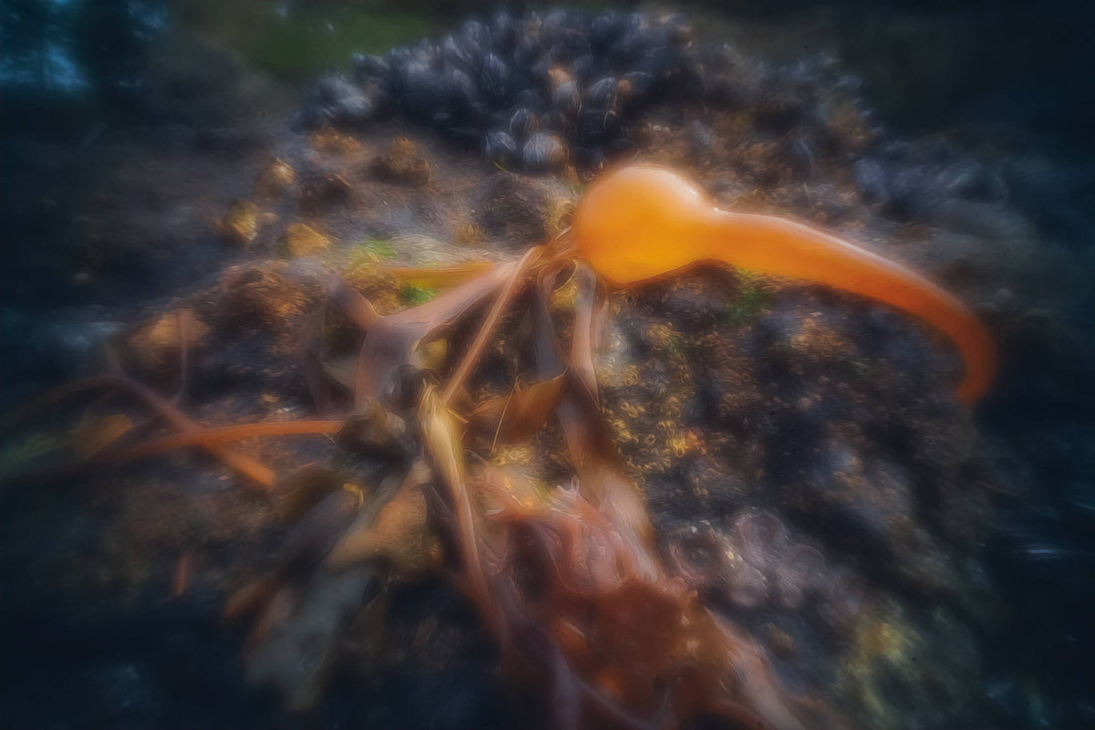 Looking Deeper