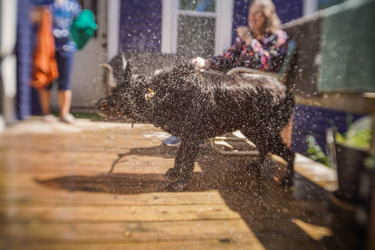 Summer is Here to Stay | Photos of the Week
