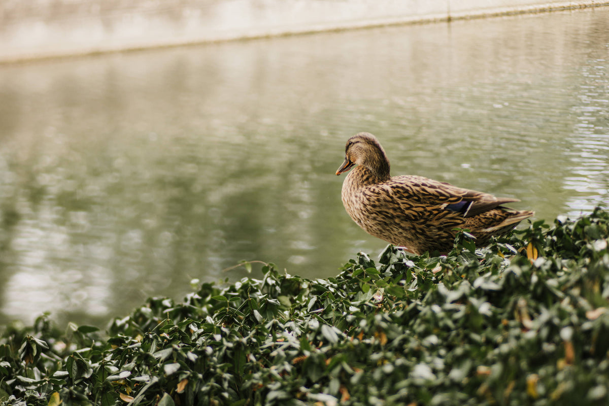 We're seeing Green | Photos of the Week
