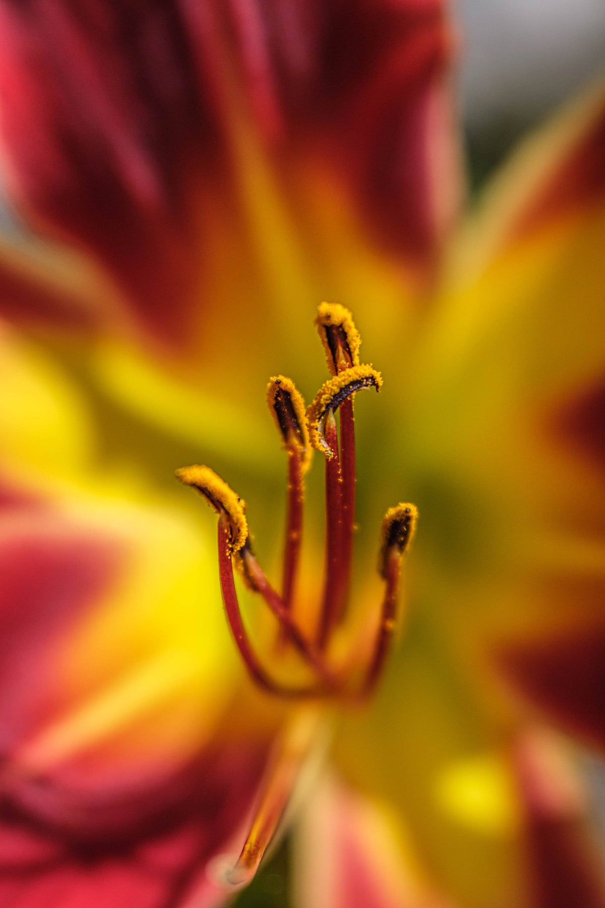 Lensbaby Unplugged Member of the Week | Casey Malone