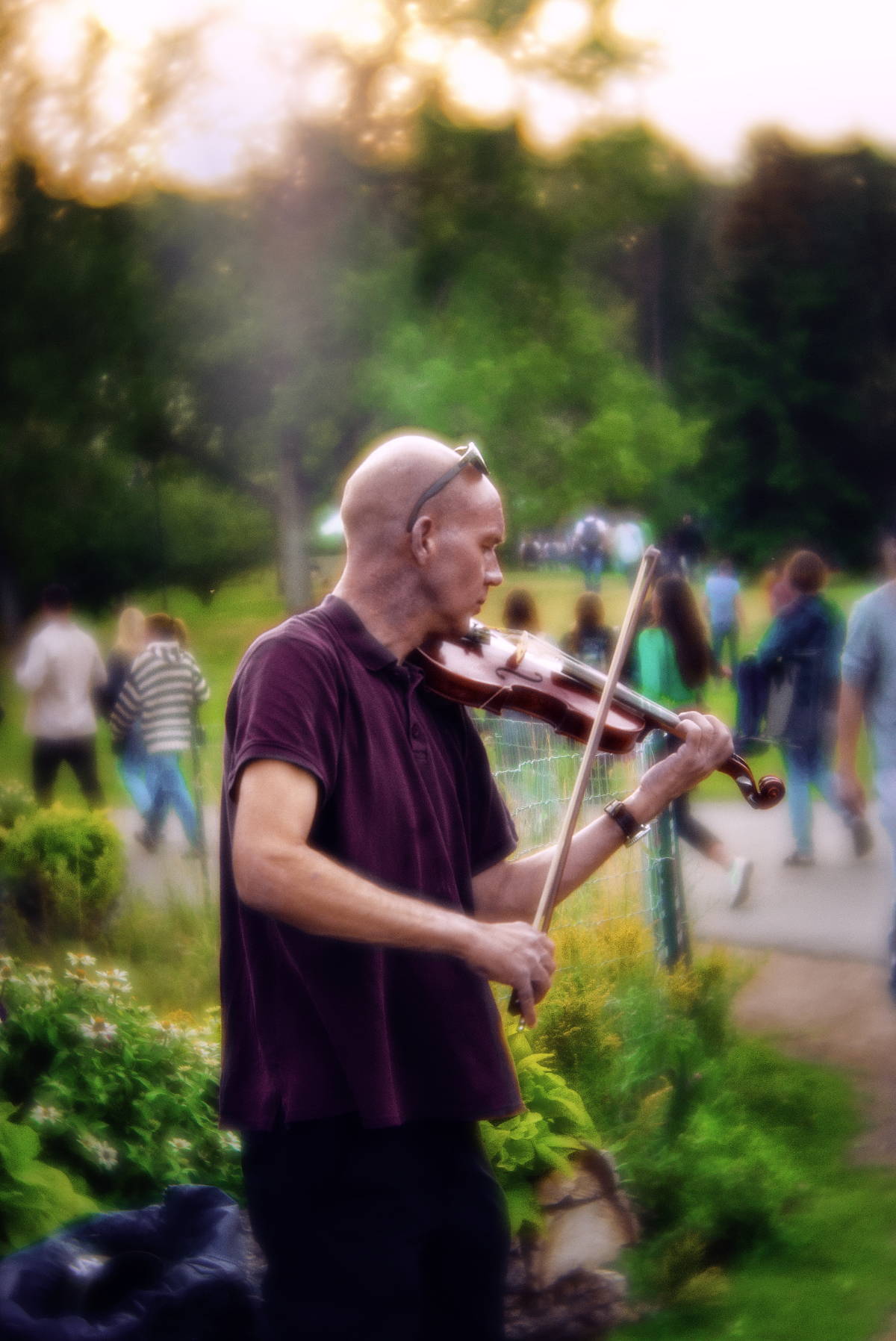 The Velvet World: Capturing Isolated Moments with the Velvet 56