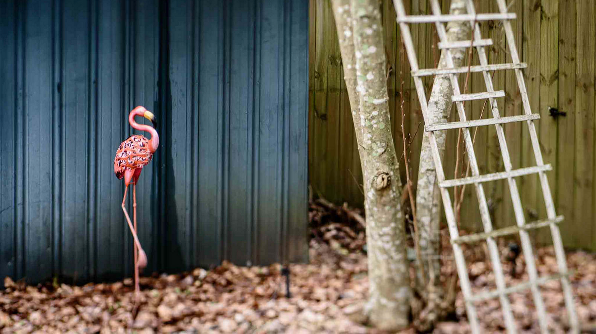 pink flamingo in front of a blue wall with a tree and a trellis Lensbaby featured photos photo challenge