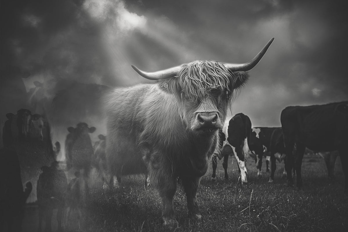 Summer Image Contest Winners