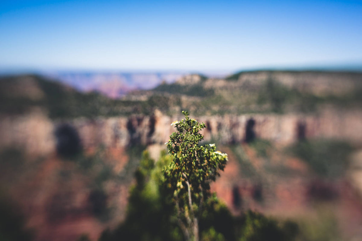 Photography Gear for Travel