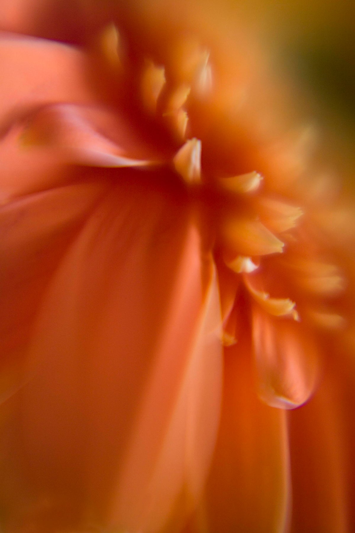 October Orange | Photos of the Week