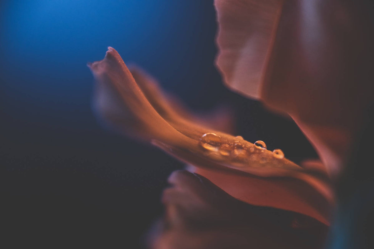 Ethereal and Feminine Photography