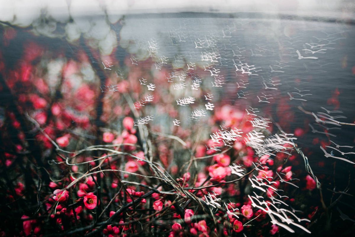 Have You Ever Pondered a Photography Project?