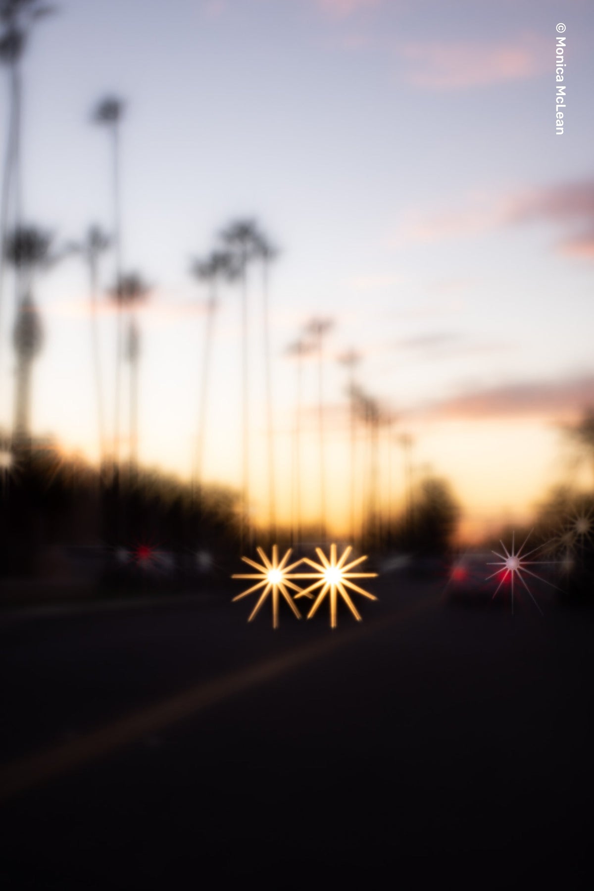Composer Pro II with Soft Focus II - Lensbaby Creative Effect Camera Lenses