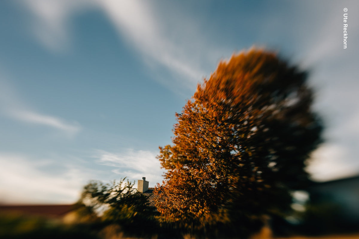 Spark 2.0 - Lensbaby Creative Effect Camera Lenses